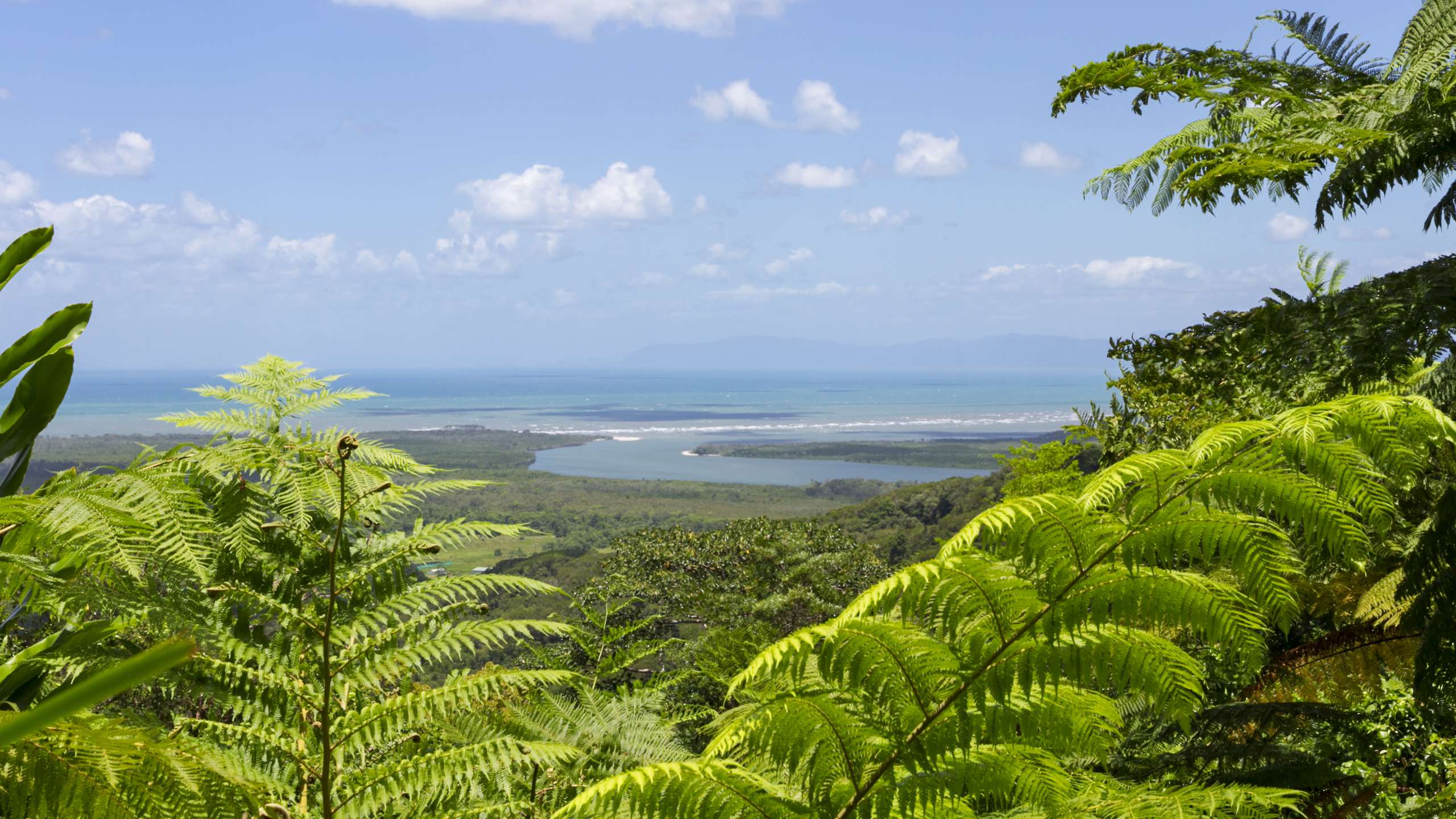 daintree river cruise centre