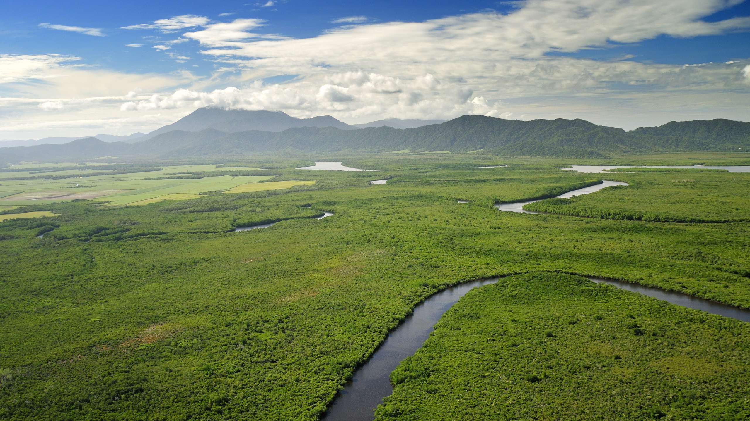 daintree river tour