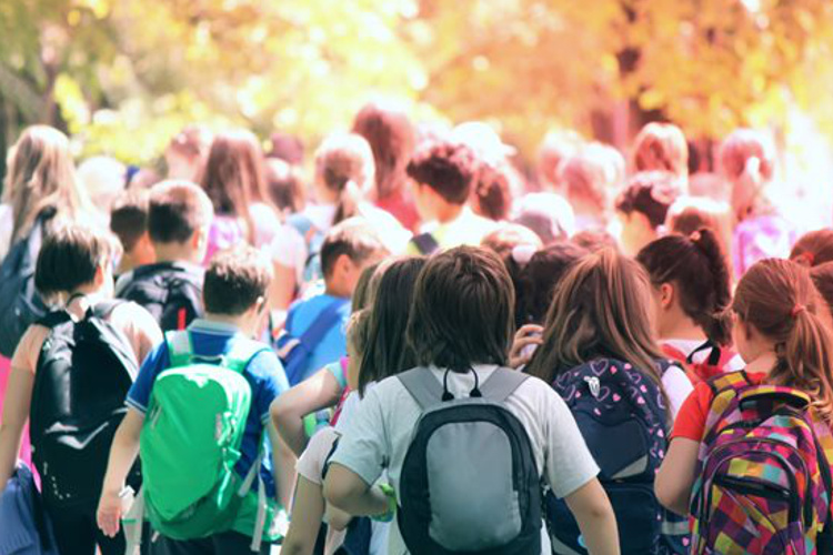 daintree crocodile tours