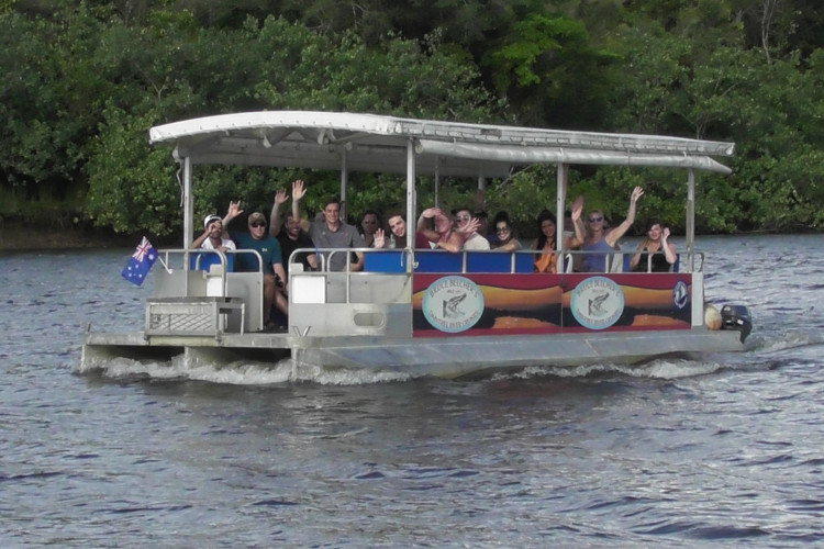 daintree river tours