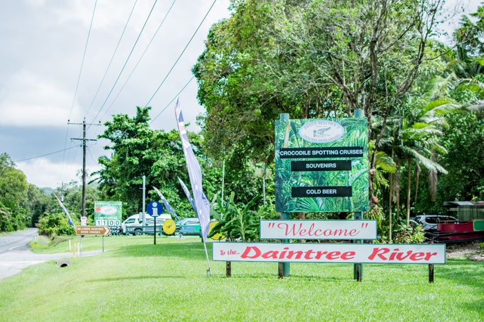 cruises daintree