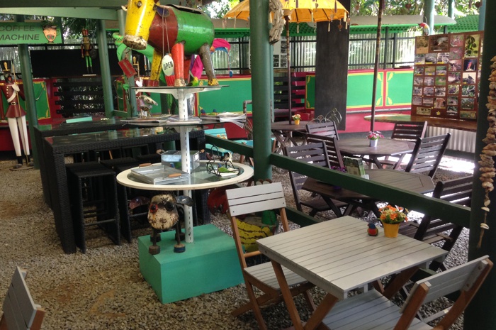 river cruises daintree