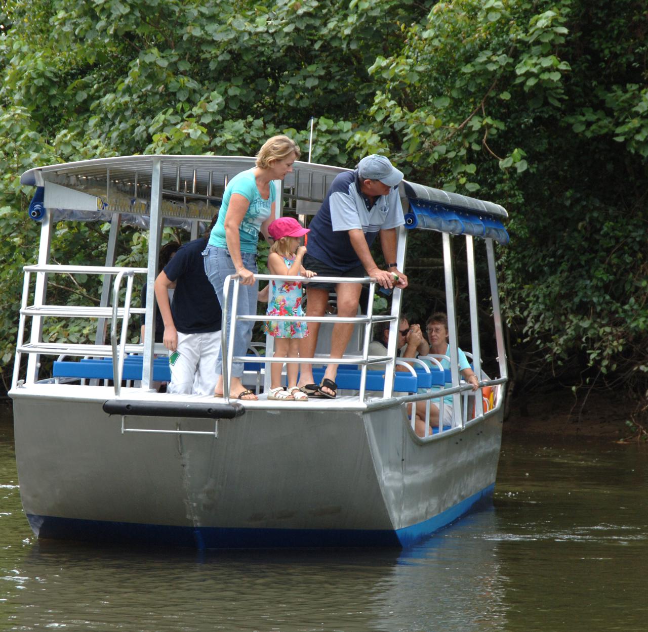 crocodile tours daintree