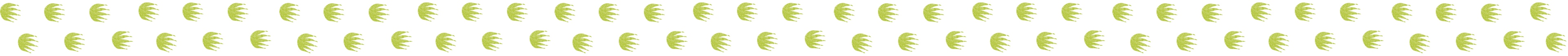 daintree crocodile tours